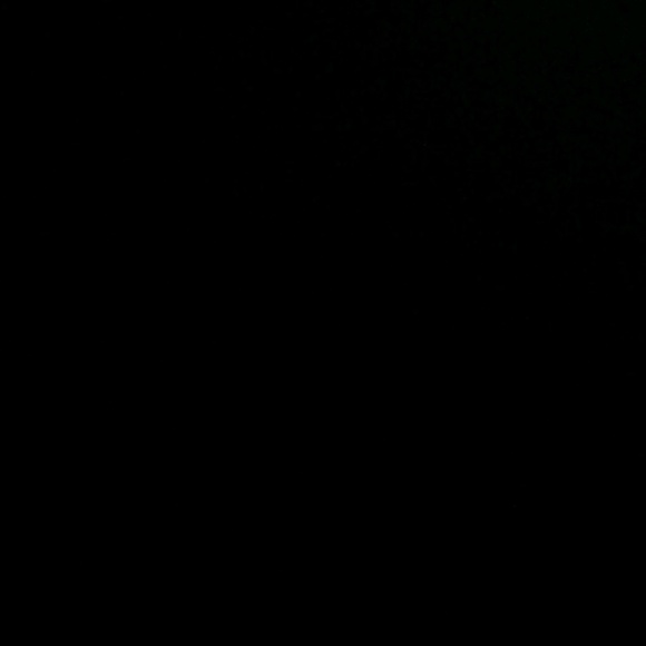 Meet your Posher, Logan - Picture 1 of 1